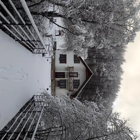 Bilya Lisu *