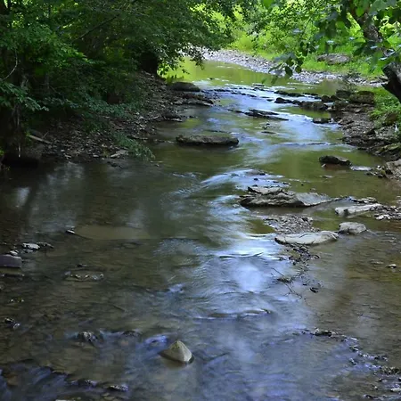 Bilya Lisu Lodge Polyana (Transcarpathia)