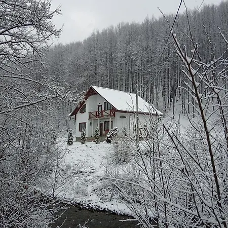 Bilya Lisu Lodge