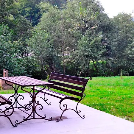 Bilya Lisu Polyana (Transcarpathia)